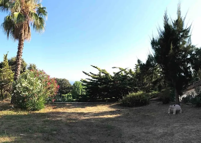 Rez De Bordure 公寓 *